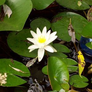 Meet your Posher, Rae mary